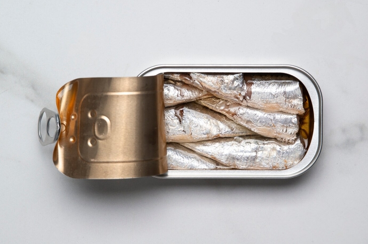 The Temptation of Canned Mackerel in Everyday Life.png